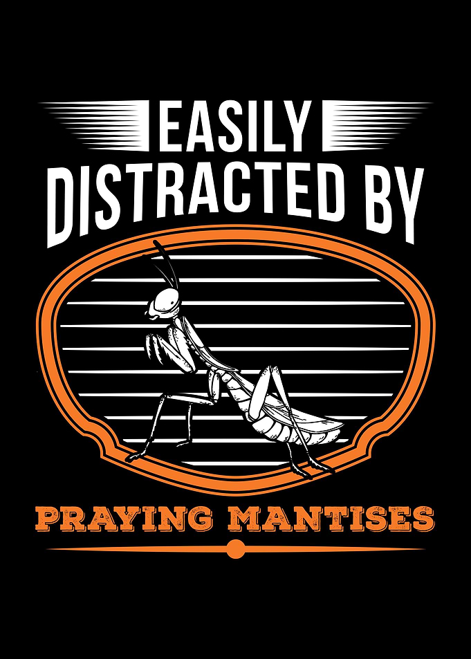 Praying Mantis