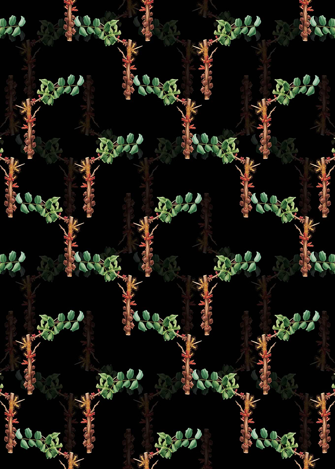 Black Carob Flower Pattern