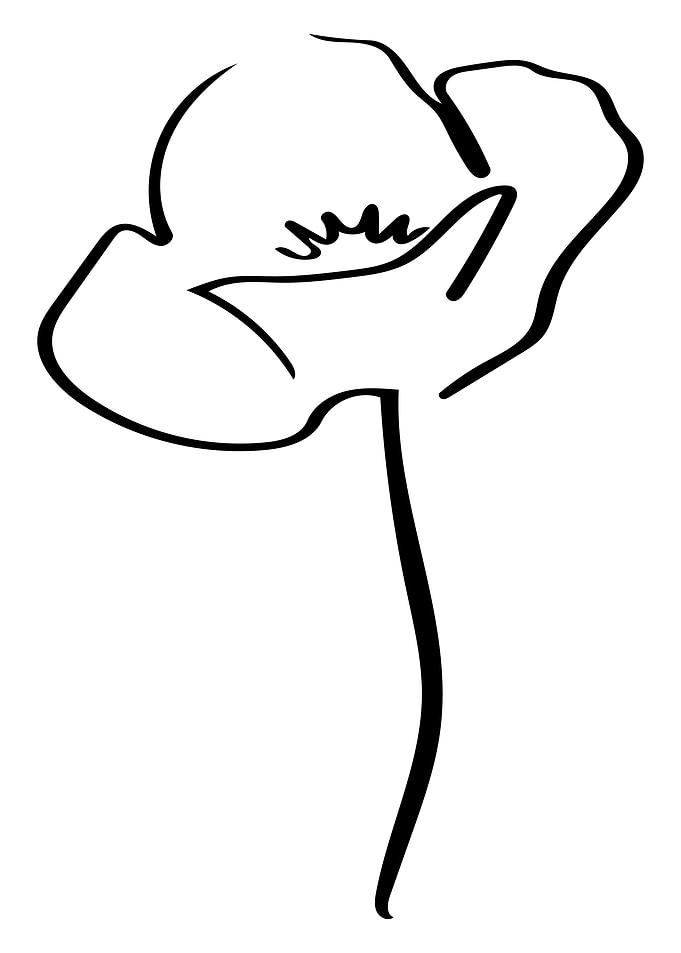 Poppy Line Art Minimal