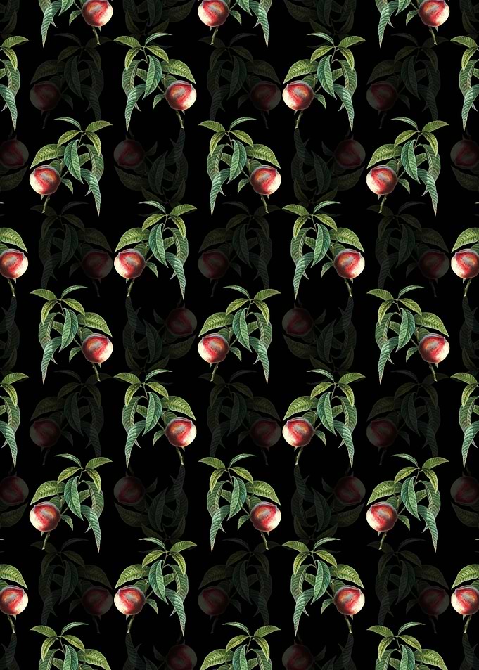 Black Floral Peach Pattern