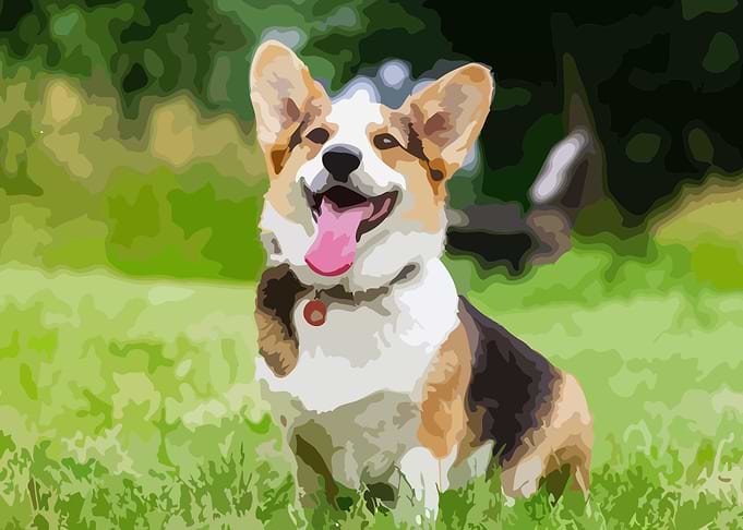 doggy