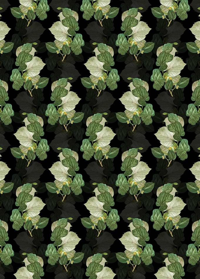 Linden Tree Branch Pattern