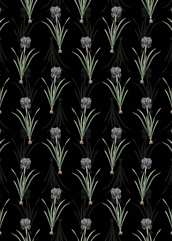 Mourning Iris Pattern