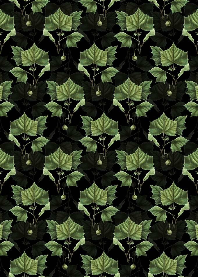 American Sycamore Pattern
