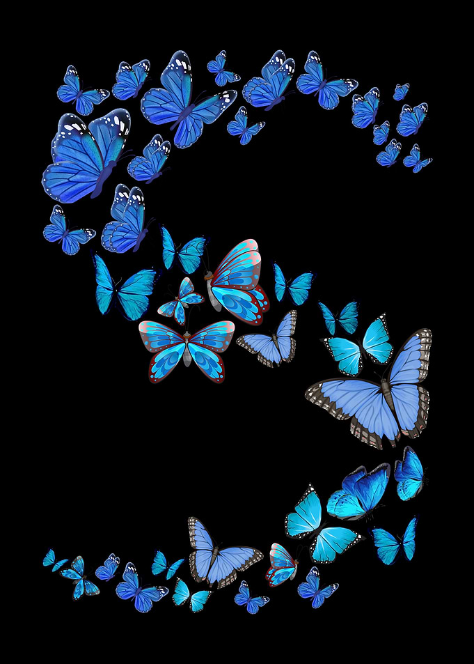 Blue Butterflies Butterfly