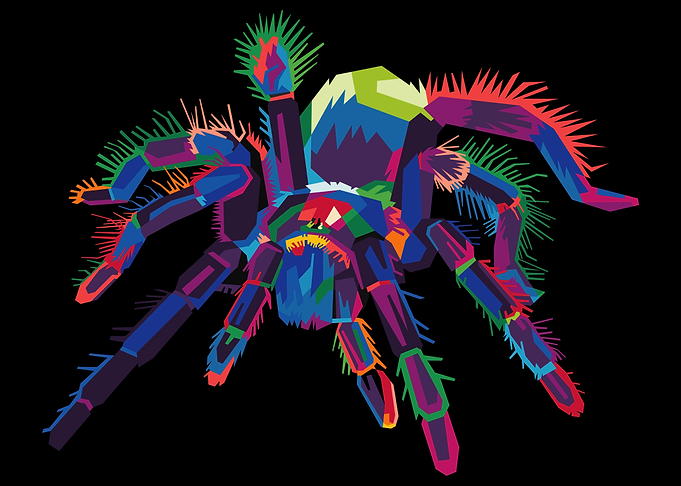 colorful tarantula spider
