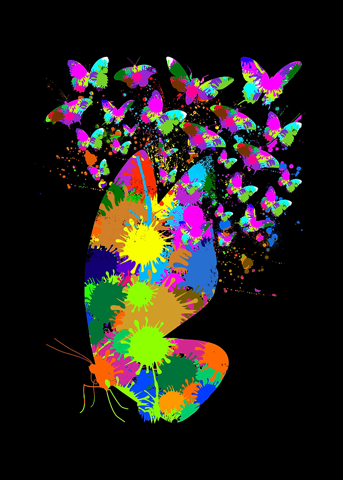 Colorful Butterfly Splash