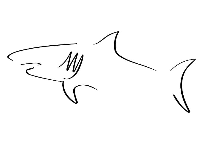 Shark Line Art Minimal