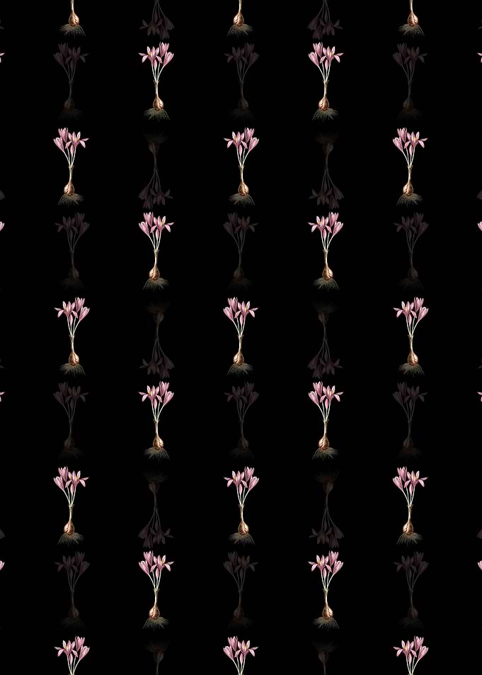 Autumn Crocus Pattern