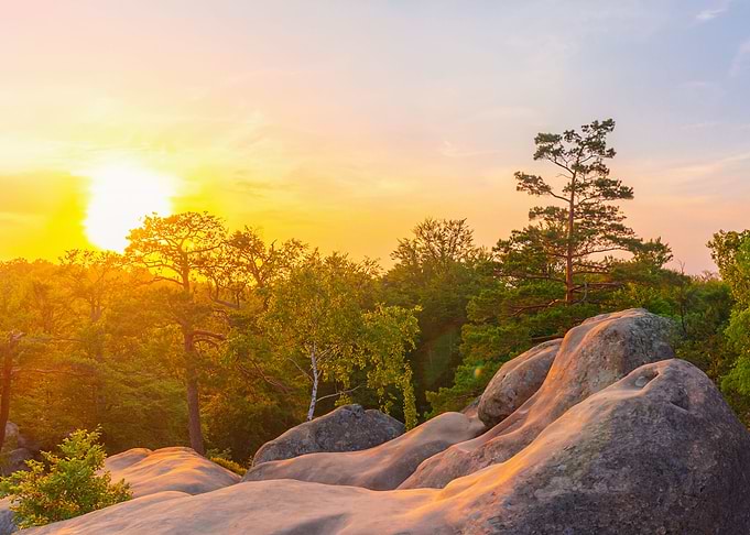 Colorful sunset landscape