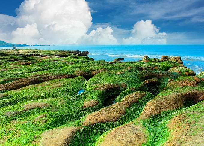Green Stone Trough