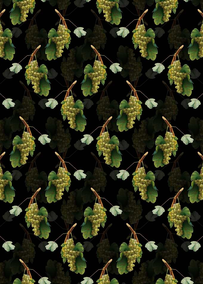 Floral Grape Vine Pattern