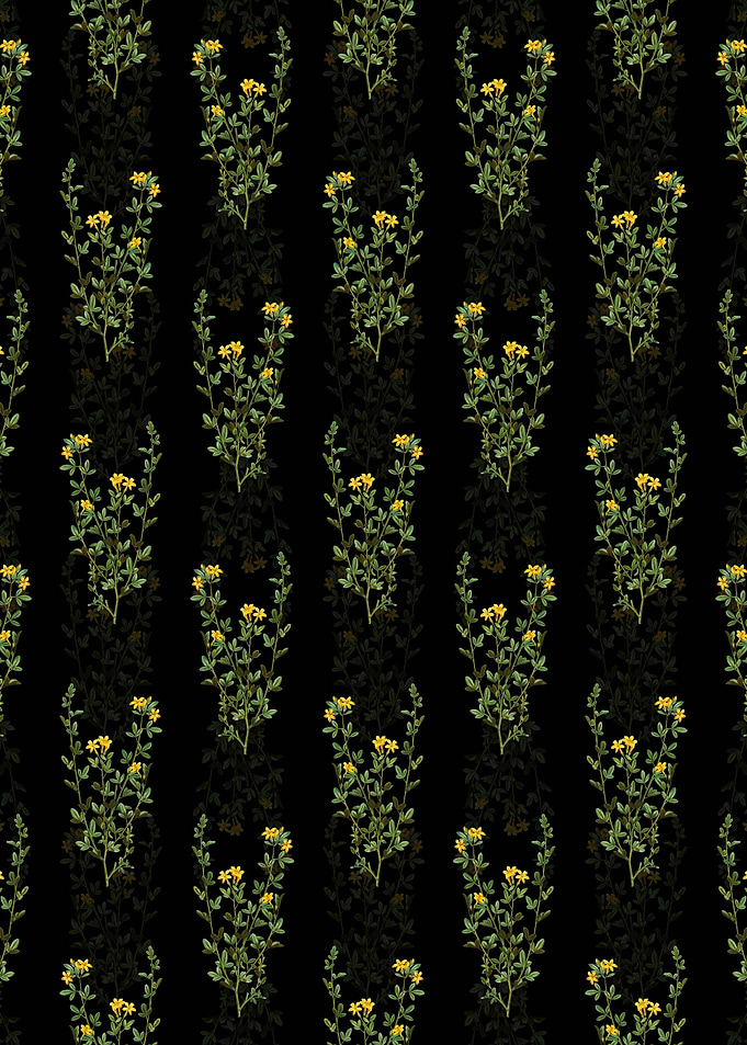 Yellow Jasmine Pattern