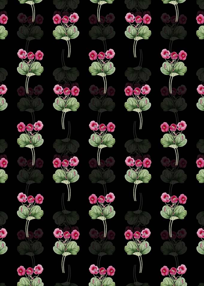 Bowies Oxalis Pattern