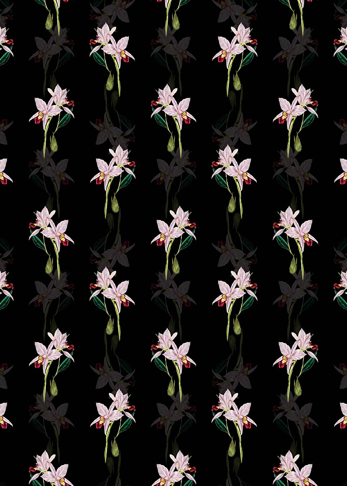 Two Edged Laelia Pattern
