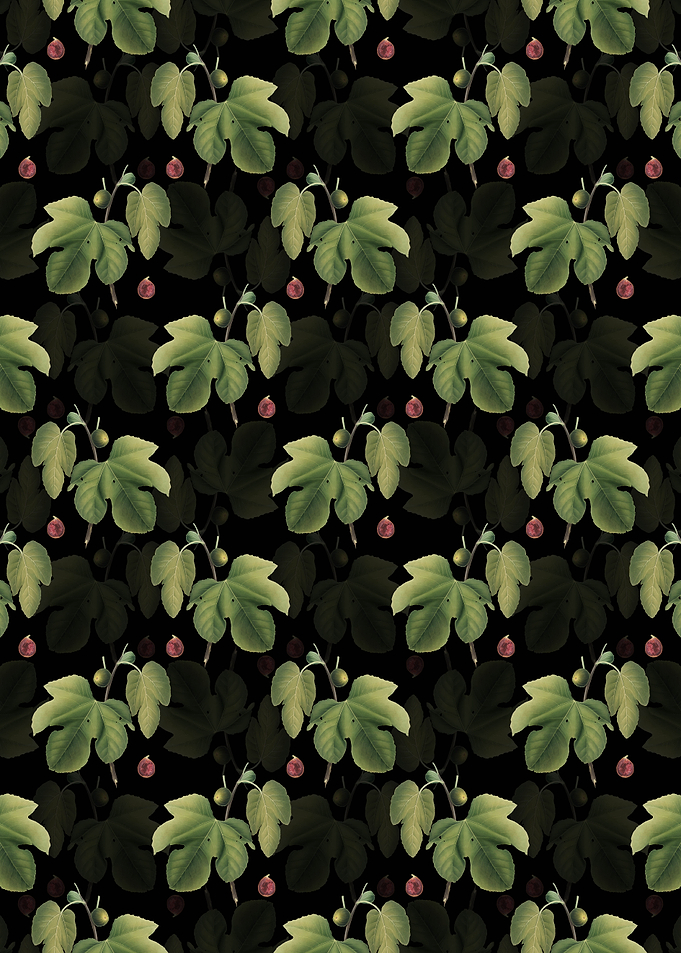 Briansole Figs Pattern