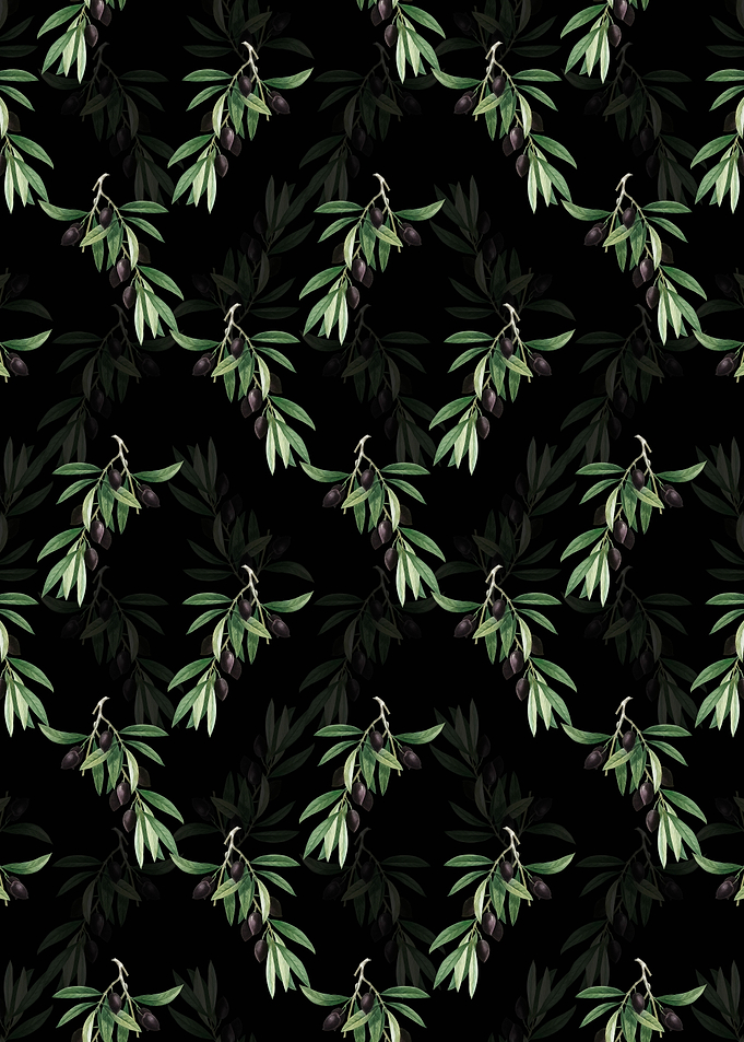 Olive Tree Branch Pattern