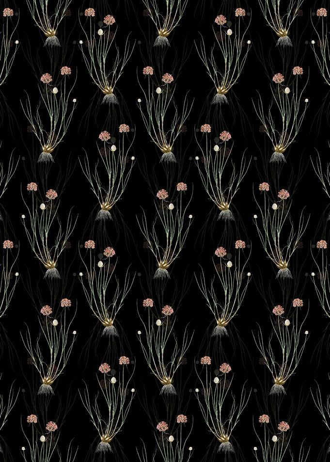 Allium Globosum Pattern