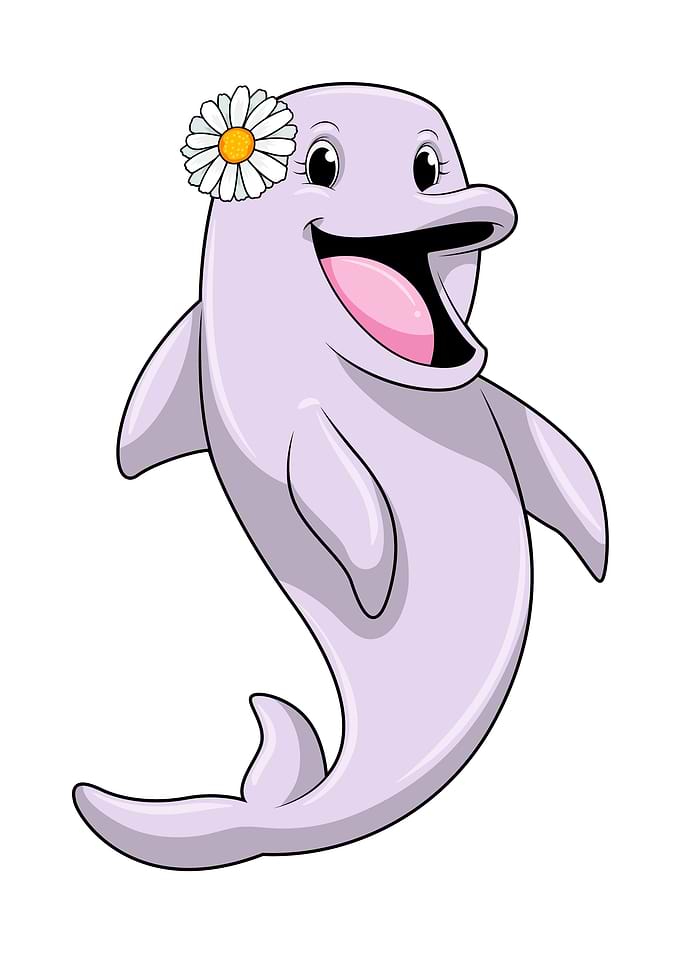 Dolphin Daisy Flower