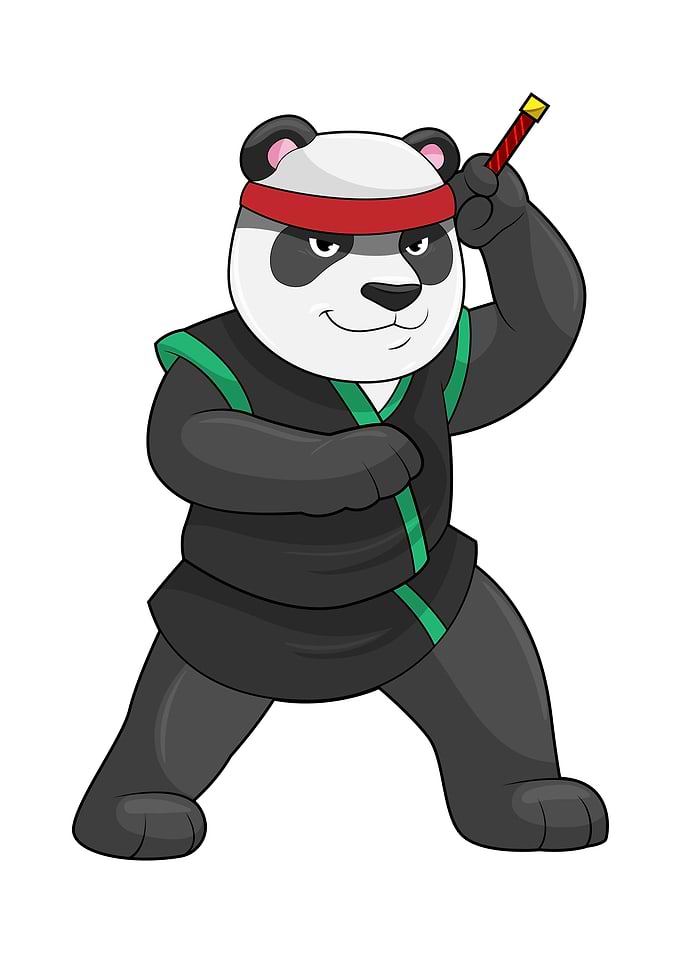 Panda Ninja Costume
