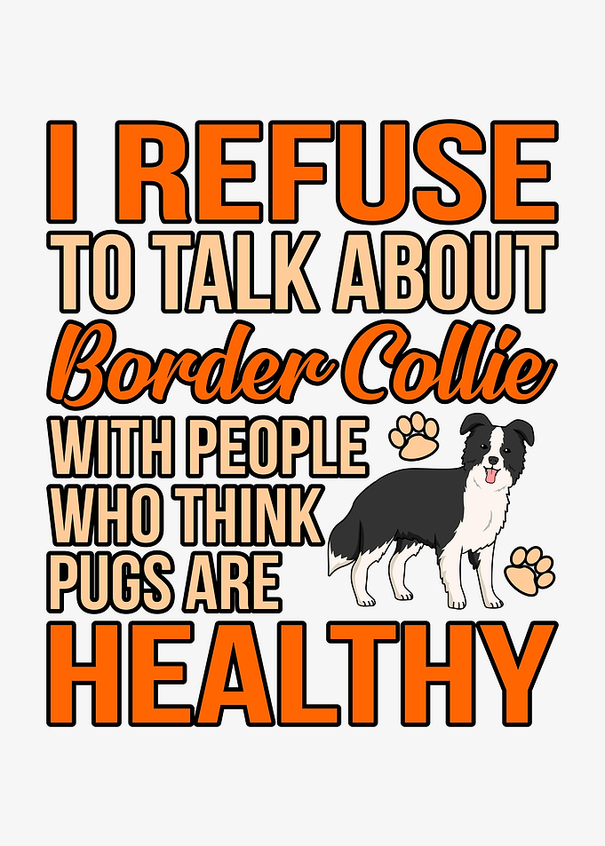 Border Collie Cute Paws