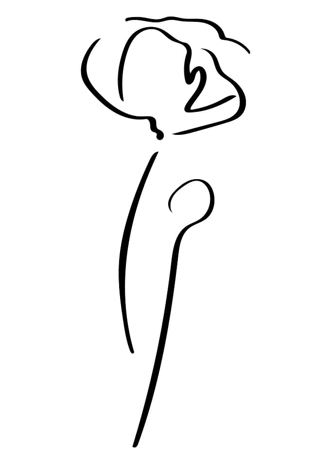 Poppy Line Art Minimal