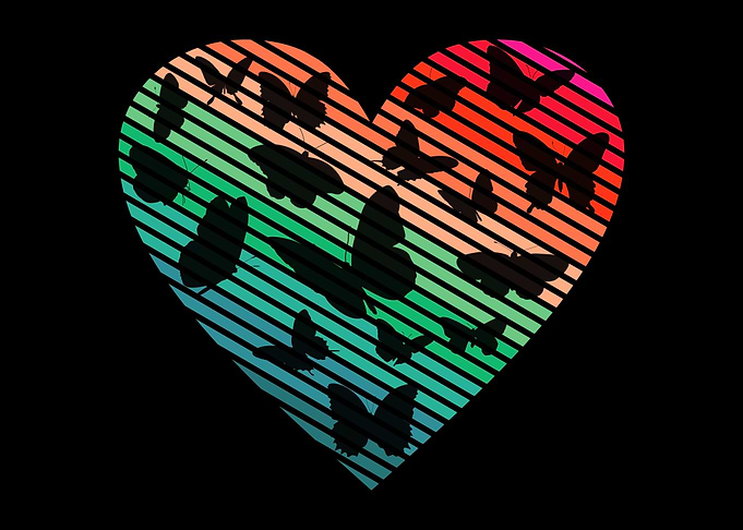 Butterfly Heart Cute