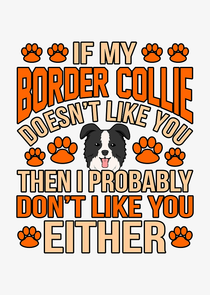 Funny Cute Border Collie