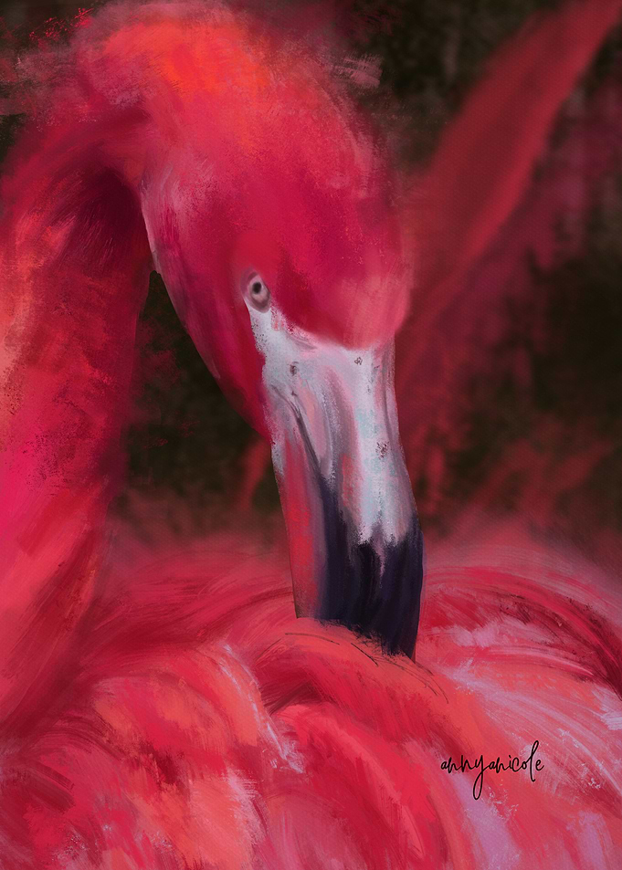 Pink Flamingo