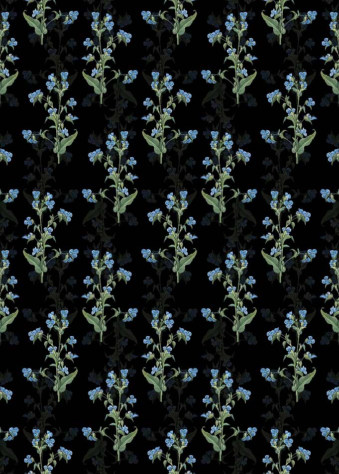 Commelina Tuberosa Pattern