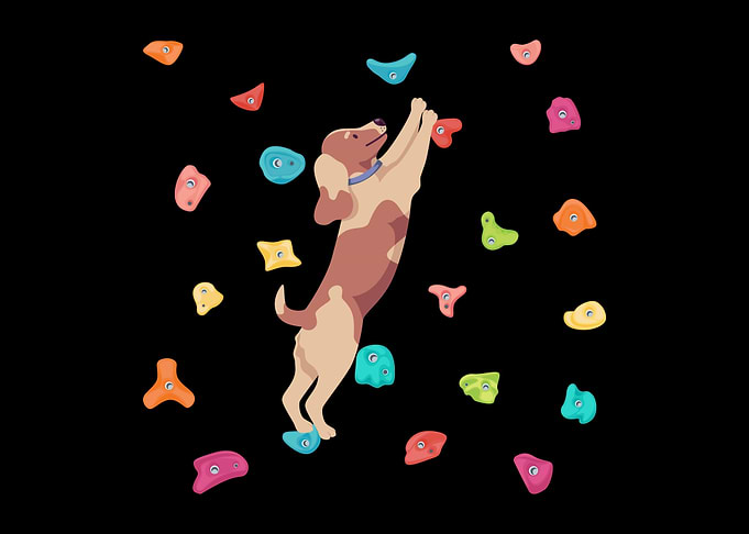 Cute Dog Climbing Animal