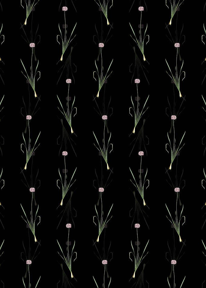 Black Mouse Garlic Pattern