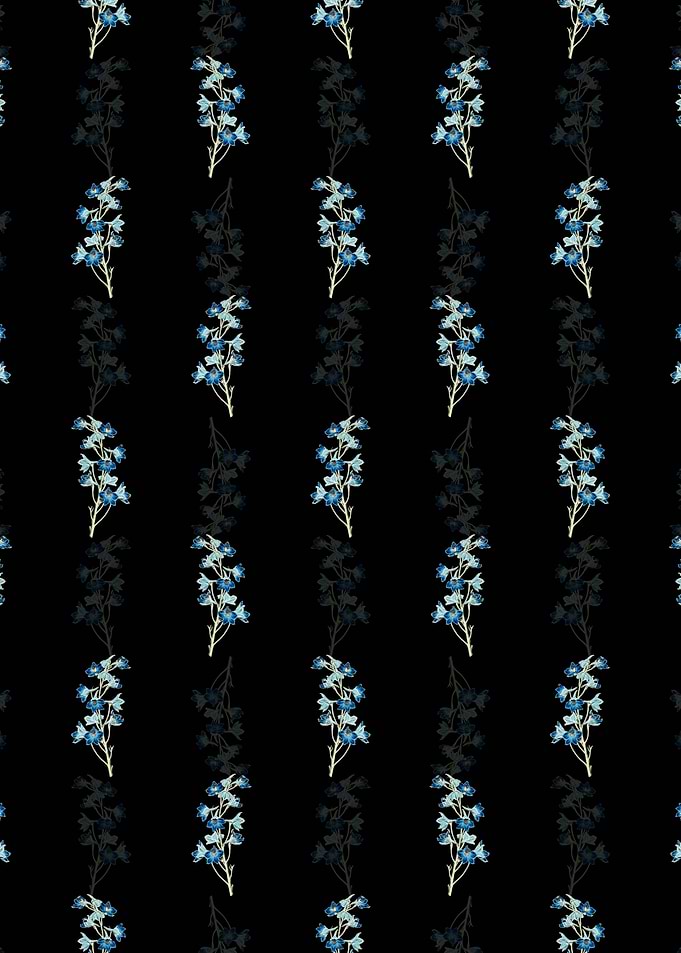Shewy Delphinium Flower