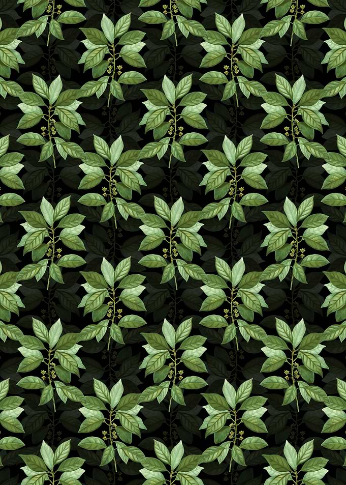 Floral Redbay Pattern