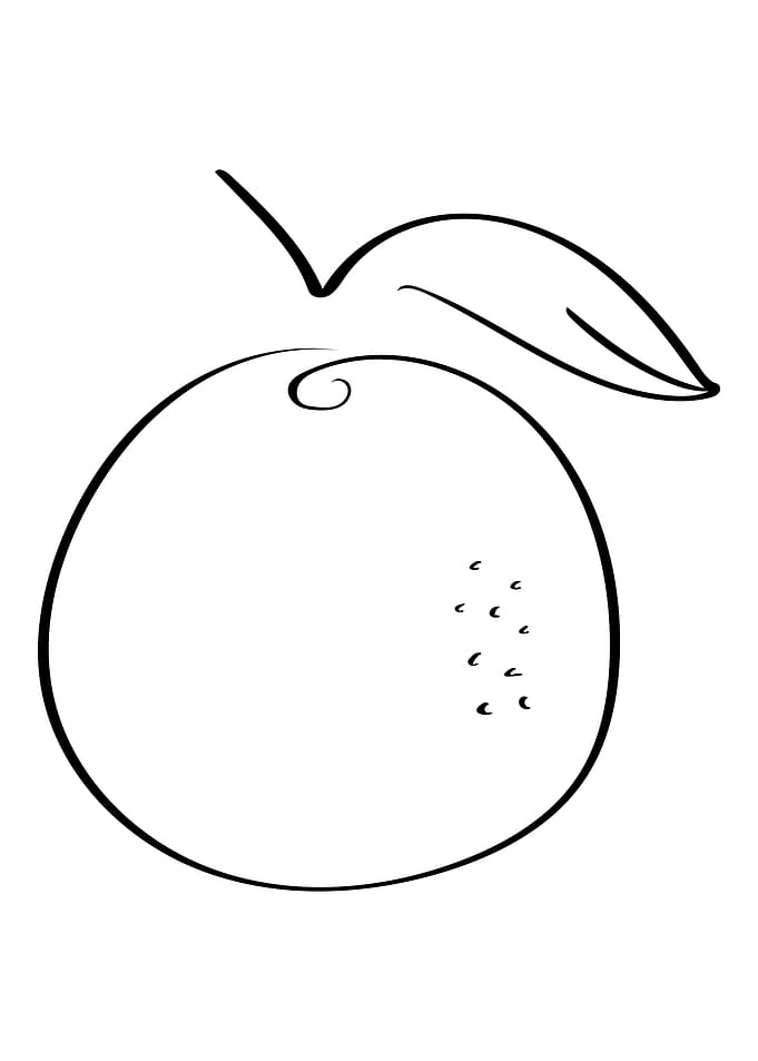 Orange Line Art Minimal
