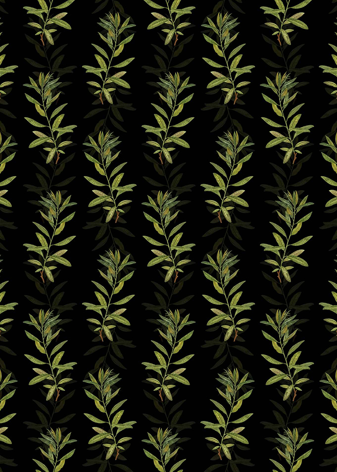 Floral Rhodora Pattern
