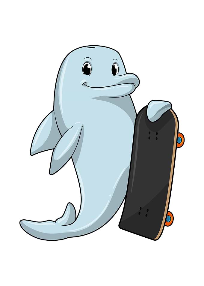 Dolphin Skater Skateboard