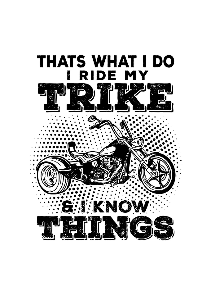 Awesome Trike Gift Ideas