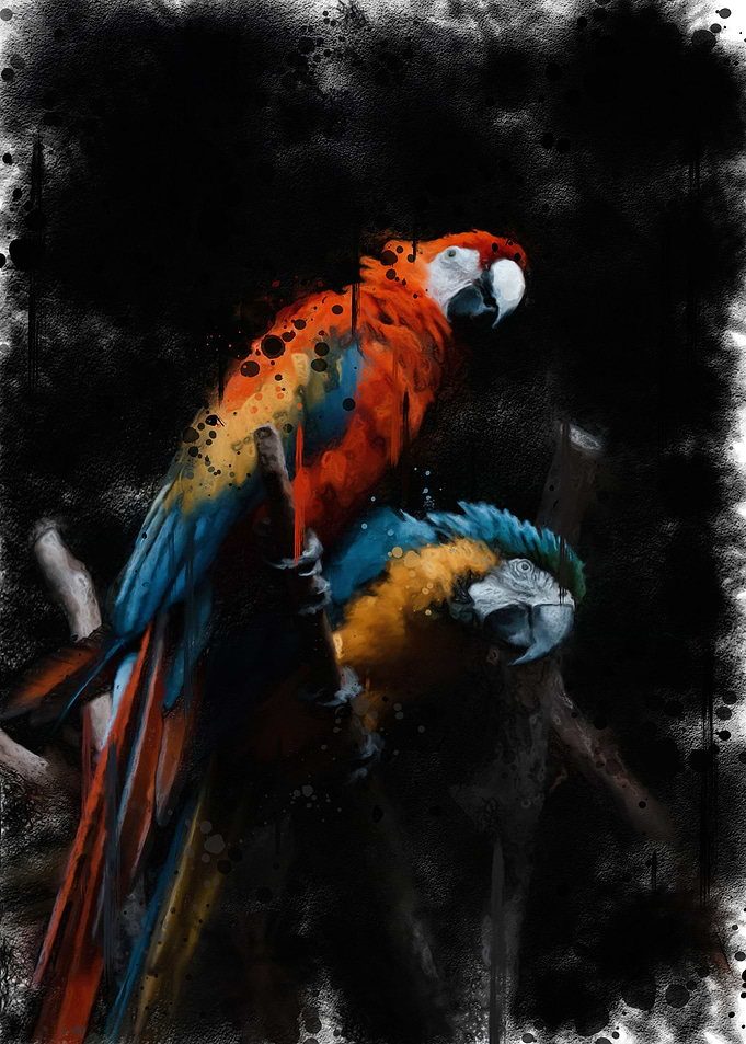 birds