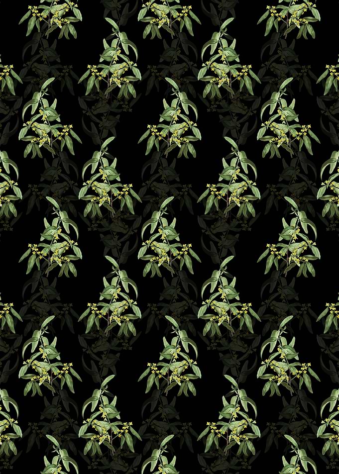 Russian Olive Pattern