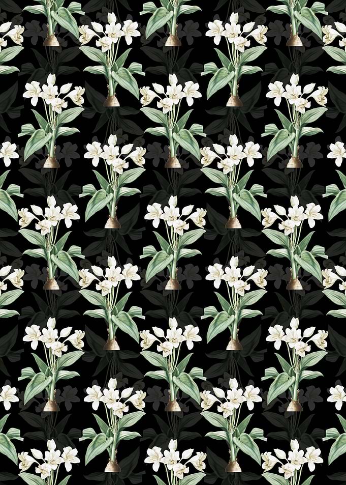 Crinum Giganteum Pattern