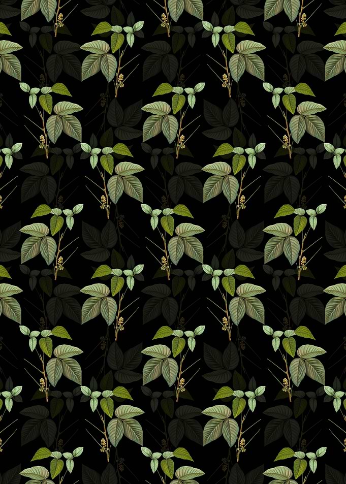 Eastern Poison Ivy Pattern
