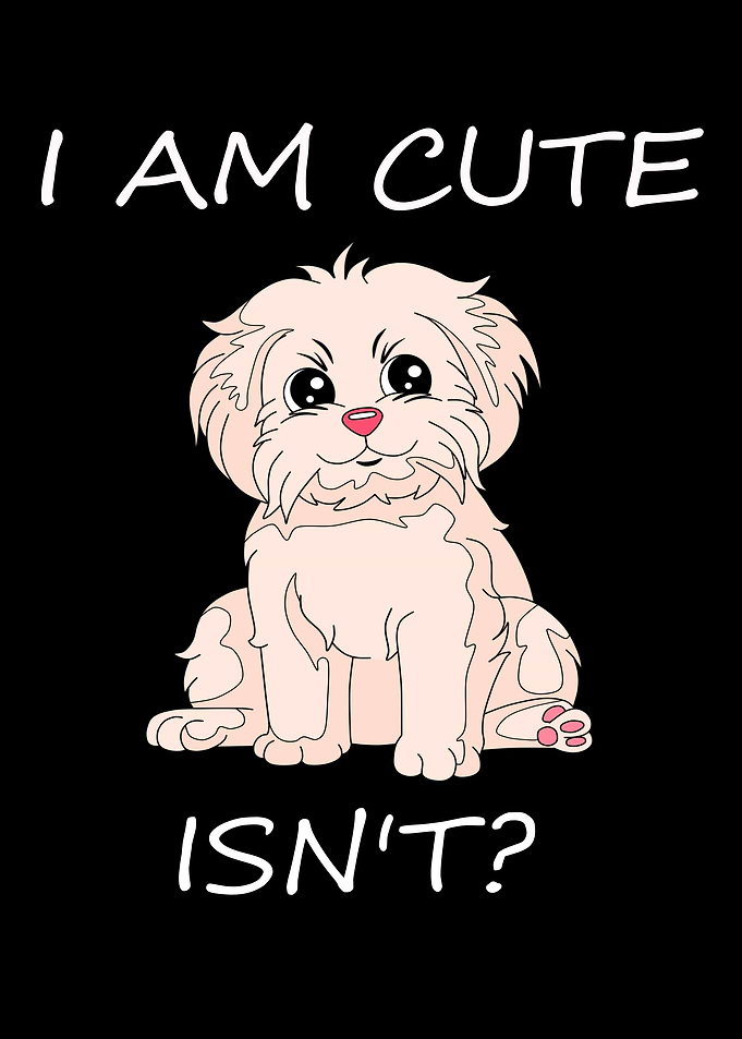 I Am Cute Isnt