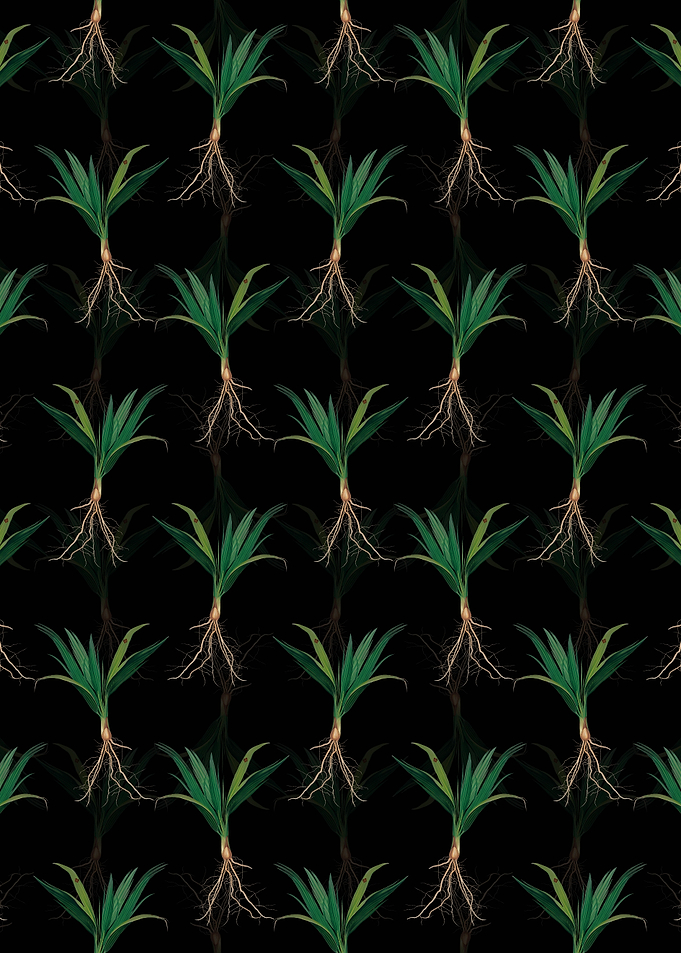 Date Palm Tree Pattern