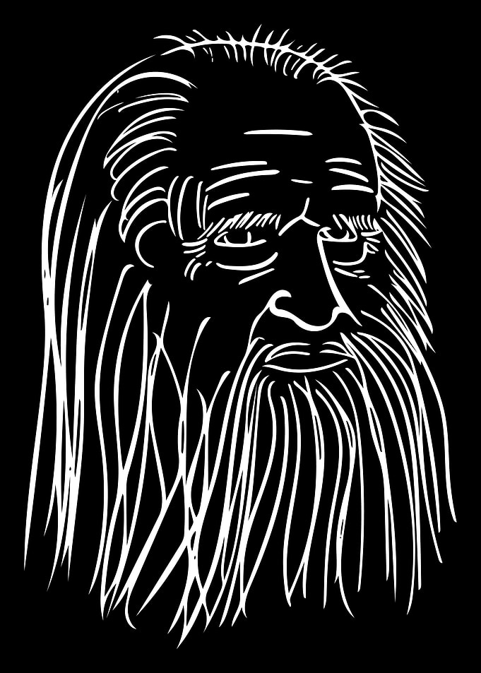 Leonardo Da Vinci Line Art