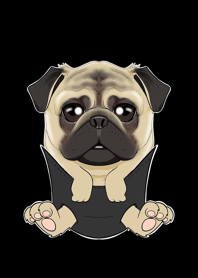 Cute Pug Puppy In Pocket