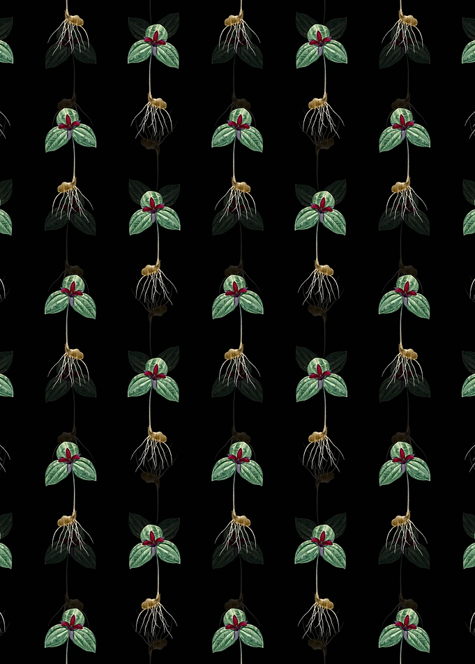 Floral Tri Flower Pattern