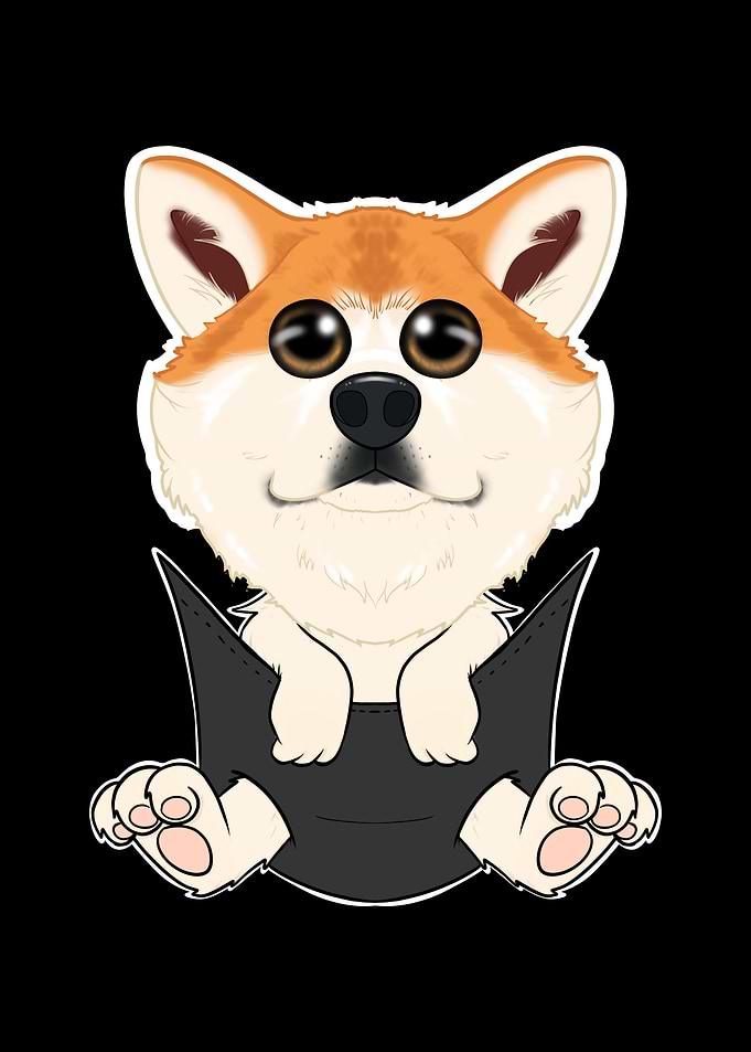 Akita Inu Puppy In Pocket