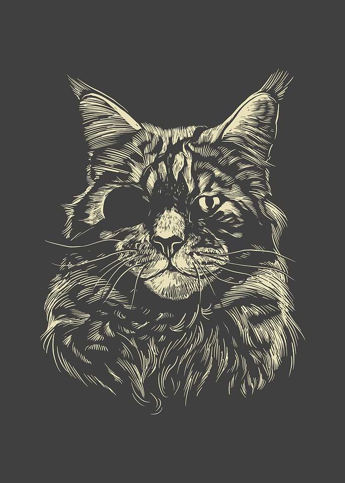 Cat Cat Realistic Cats