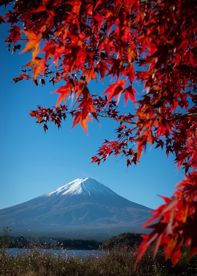 Beautiful in Autumn